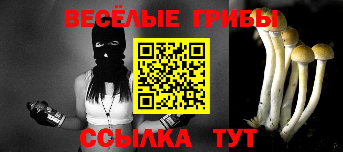 Галлюциногенные грибы MAGIC MUSHROOMS  Вход с VPN  Галлюциногенные грибы Psilocybe  Карачаевск 