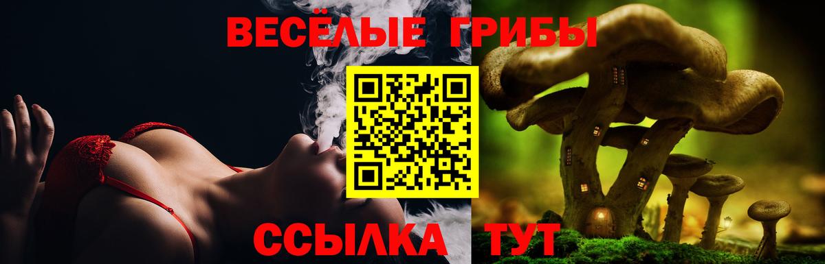 Галлюциногенные грибы Cubensis Карачаевск